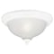Westinghouse Westinghouse 8 in. H X 11 in. W X 11.8 in. L Ceiling Light 66378 - alternate 1